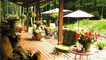 Appletree Nursery - Tilton