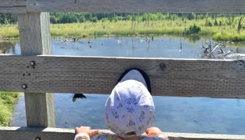 Avalon Nature Preschool - Eagle River