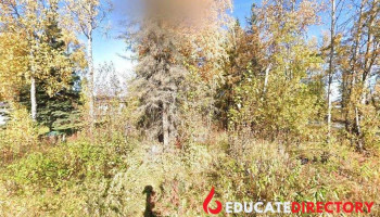 Carefree Kids - Wasilla