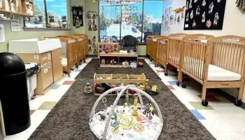 Celebree School of Bear - Bear