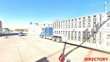Cimarron Ensign Usd - Ks 67835