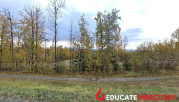 Dee’s little Angels Childcare Center - Wasilla