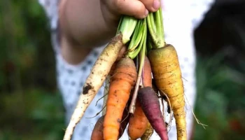 Farm Kids - Center Barnstead