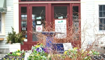 Gardener's Supply Company - Greenland