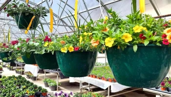 Holton Greenhouse - Holton