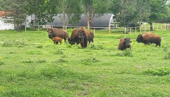 La Hacienda greenhouse - Arkansas City