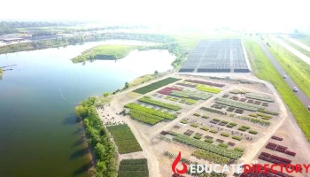 Loma Vista Nursery Inc - Ottawa
