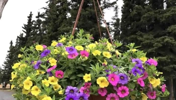 RustyRavin Plant Ranch - Kenai