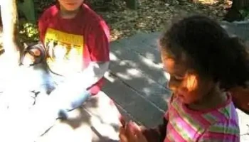 Takoma Park Cooperative Nursery School - Takoma Park