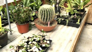 Trinity Greenhouse - Soldotna