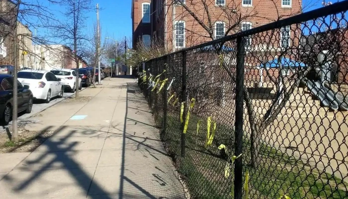 Baltimore Montessori Public Charter School - Baltimore