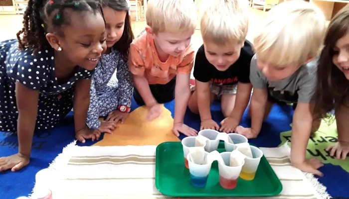 Children's Magnet Montessori School - Gaithersburg - Germantown