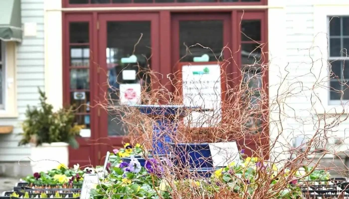Gardener's Supply Company - Greenland