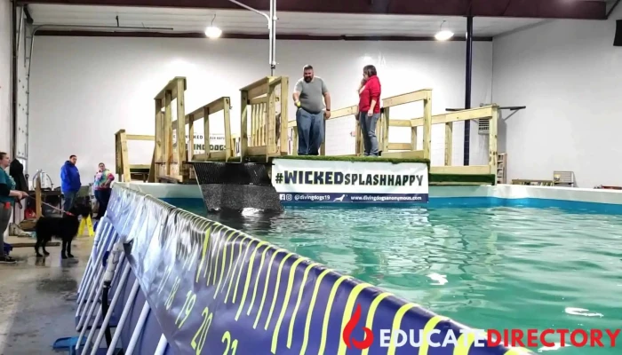 Inspire K-9's Training Center Llc - Center Barnstead