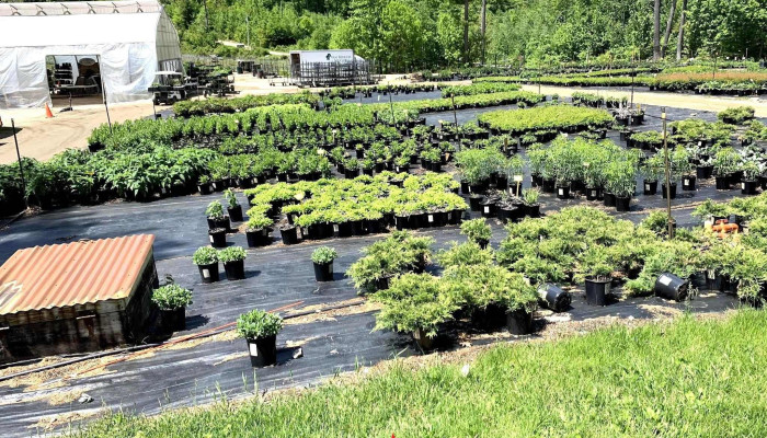 Van Berkum Nursery - Deerfield