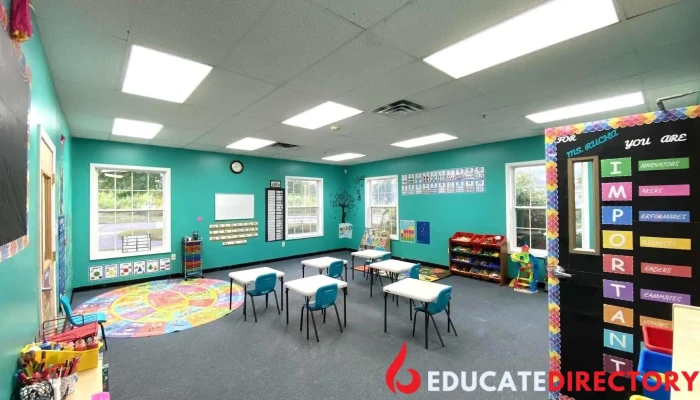 Wise Owl Academy - Nashua
